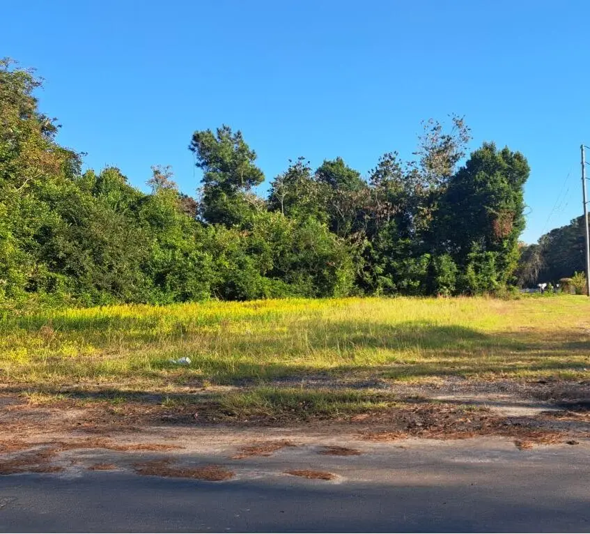 S-38-121 Hampton Street, Elloree, SC 29047 - Image #1