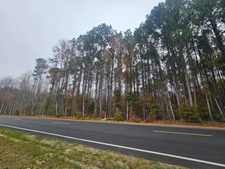 0 Norway Road, Neeses, SC 29107 - Image #2