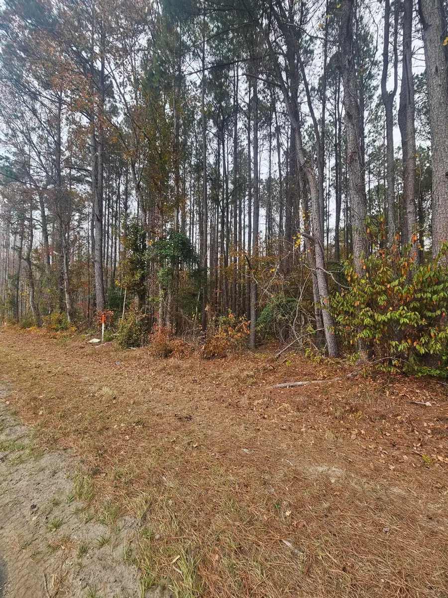 0 Norway Road, Neeses, SC 29107 - Image #3
