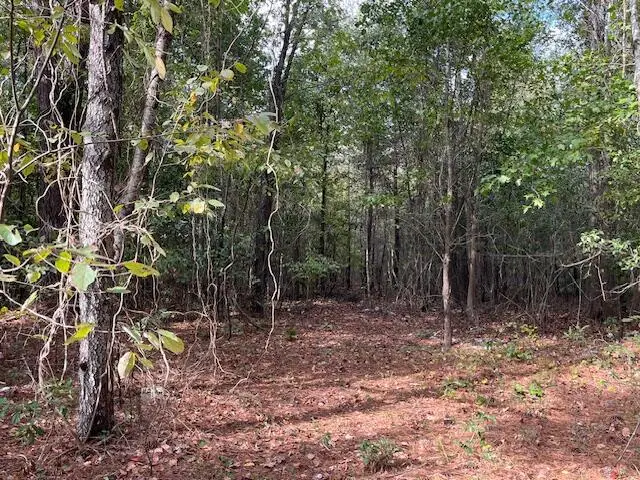Tbd Bloomville Road, Manning, SC 29102 - Image #2