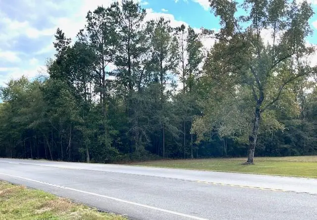 Tbd Bloomville Road, Manning, SC 29102 - Image #3