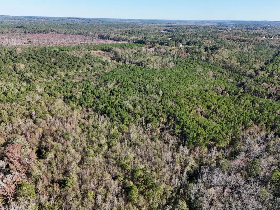 0 Mayrant Rd, Rembert, SC 29128 - Image #3