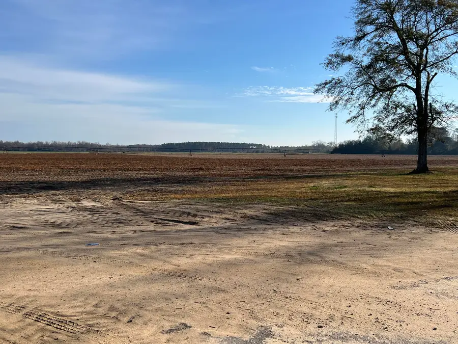 00 Old Hwy 6, Elloree, SC 29047 - Image #2