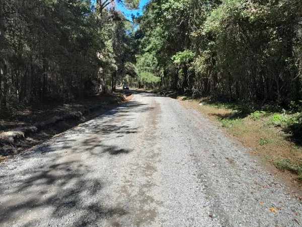 0 W Dominion Avenue Nw #Block No. 1, Cross, SC 29436