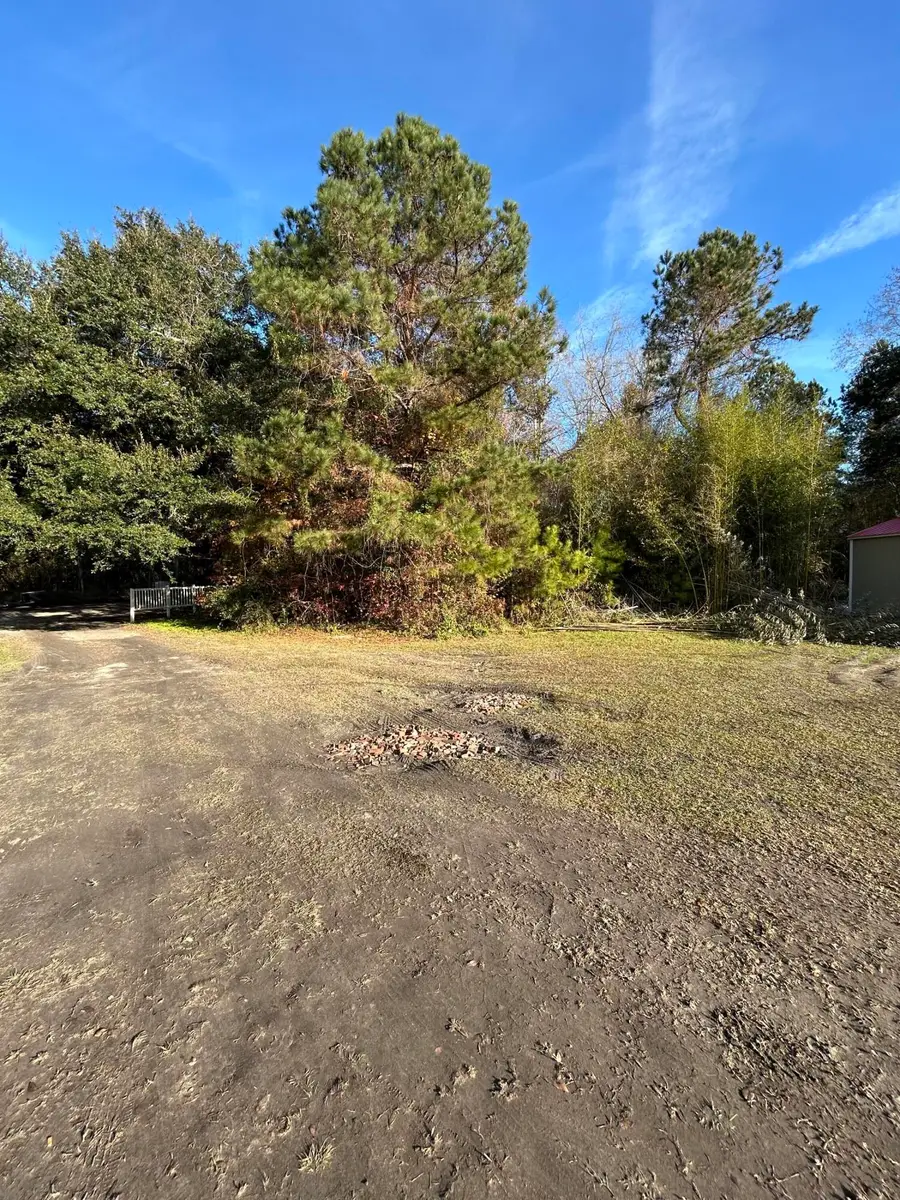 0 Russellville Rd, Saint Stephen, SC 29479 - Image #3