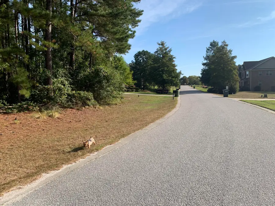 2140 Water Song Run #48, Sumter, SC 29150 - Image #3