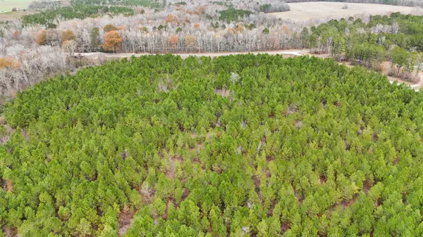 Tbd Bill Davis Road, Summerton, SC 29148