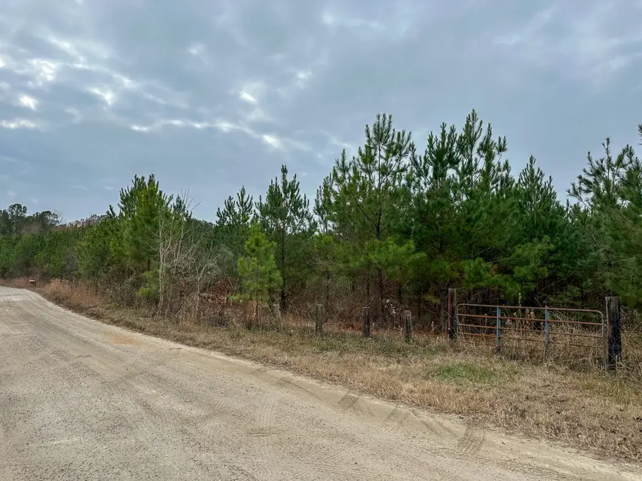 Tbd Bill Davis Road, Summerton, SC 29148 - Image #2