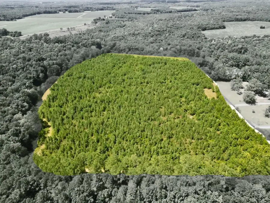 Tbd Bill Davis Road, Summerton, SC 29148 - Image #3