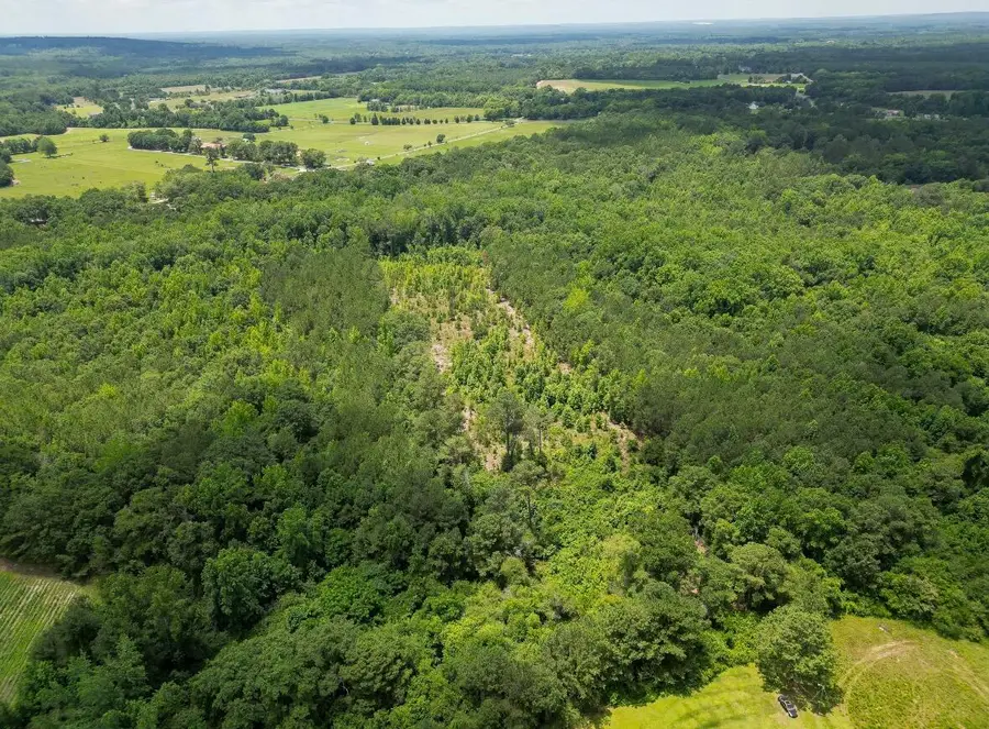 0 Kirkland Road, Rembert, SC 29128 - Image #3