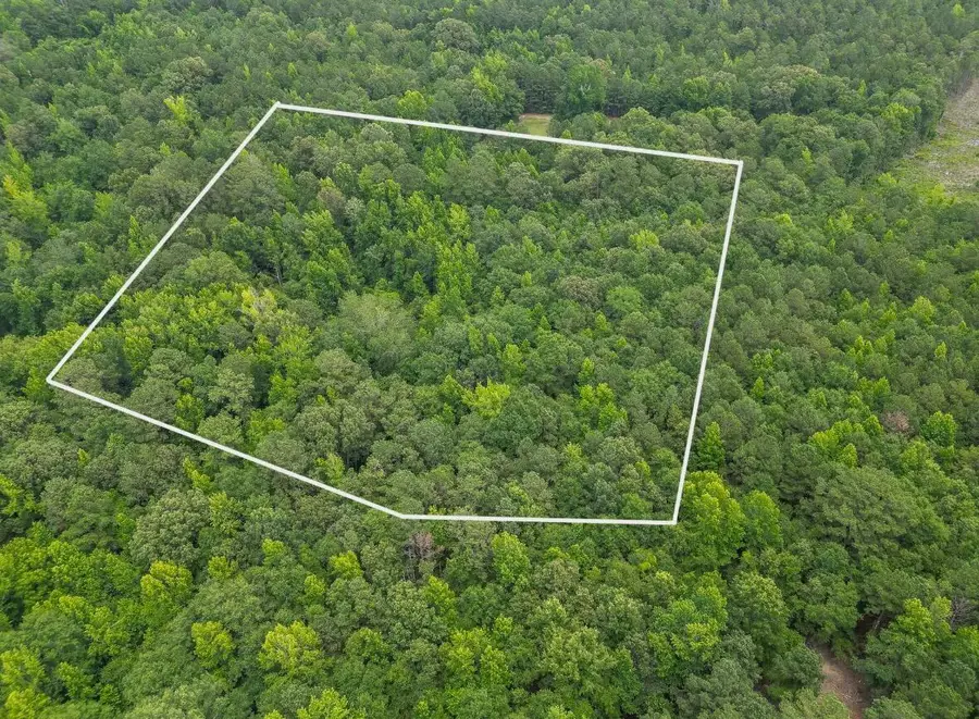 0 Rafting Creek Twns, Rembert, SC 29128 - Image #2