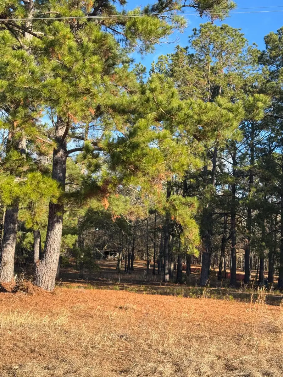 00 Lake Marion Shores Road, Summerton, SC 29148 - Image #3