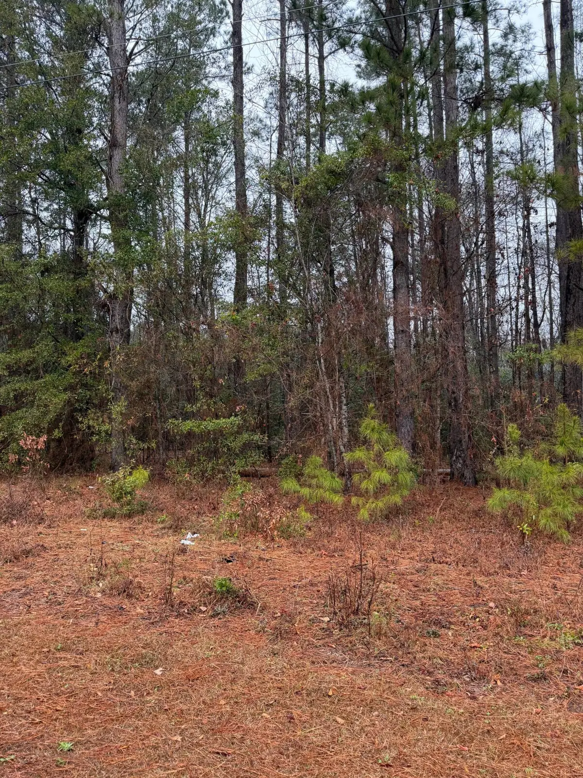 0 Neds Cove #Lot 21, Santee, SC 29142 - Image #1