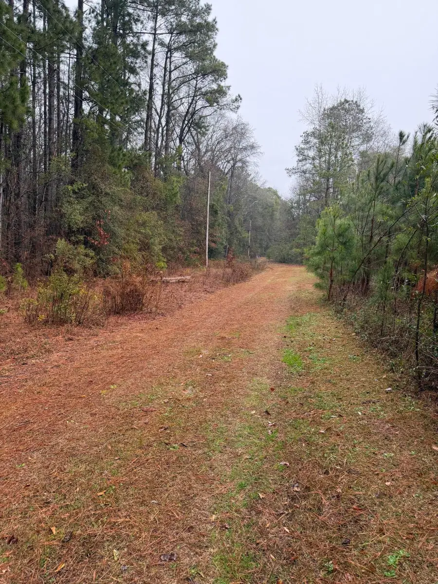 0 Neds Cove #Lot 21, Santee, SC 29142 - Image #2