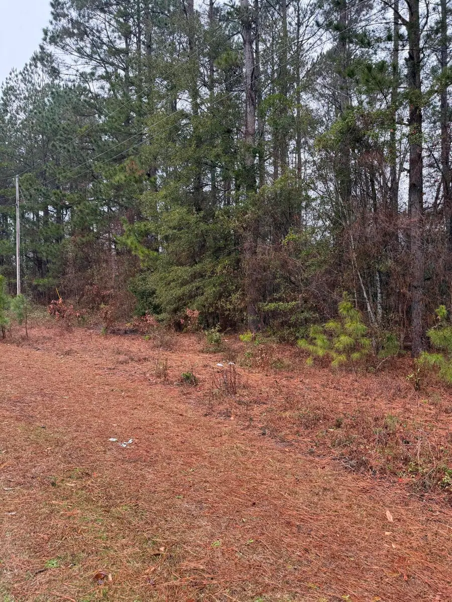 0 Neds Cove #Lot 21, Santee, SC 29142 - Image #3