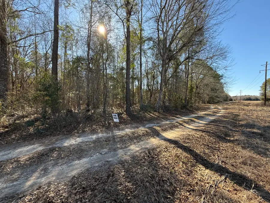 3075 Wilfred Drive, Rembert, SC 29128 - Image #2