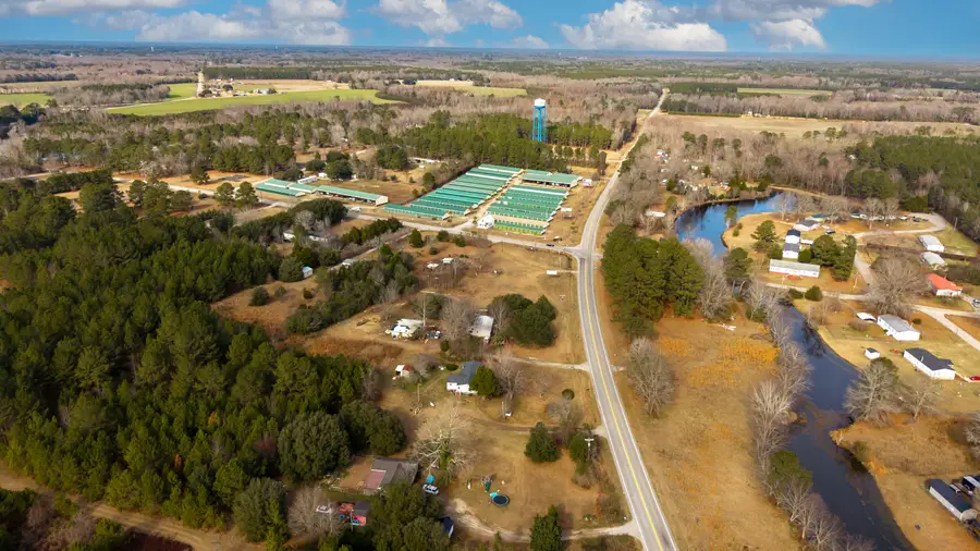 7878 Raccoon Road, Manning, SC 29102 - Image #2