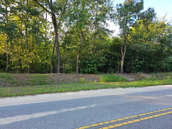 0 Borden Road #1, Rembert, SC 29128