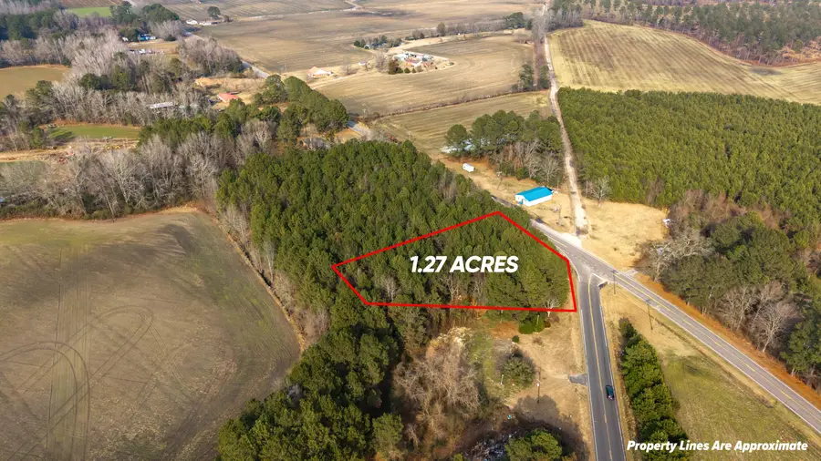 000 Plowden Mill Road, Alcolu, SC 29001 - #2