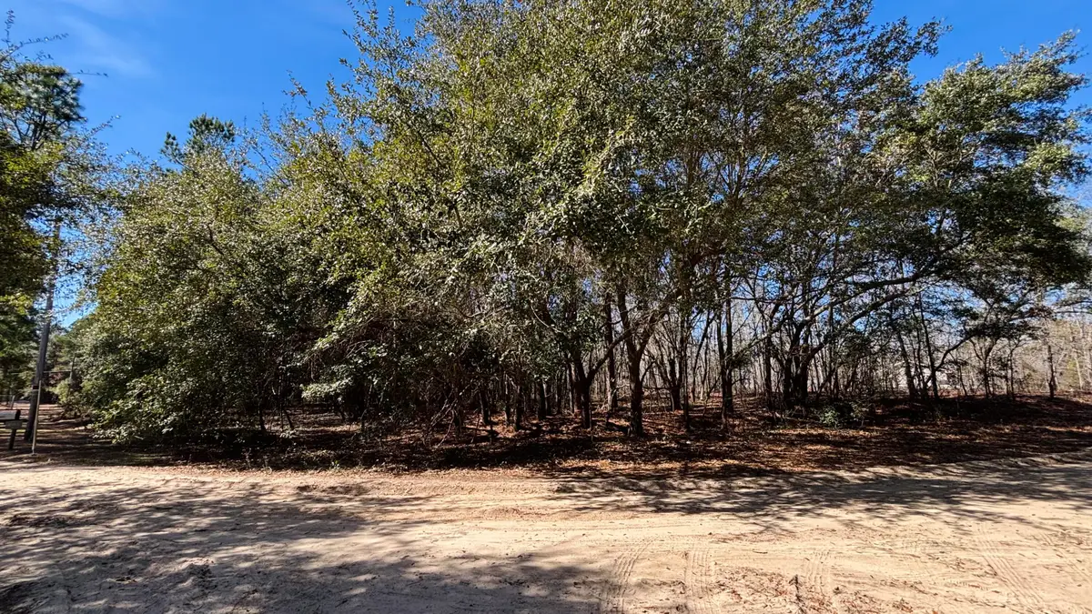 0 Ripley Court, Elloree, SC 29047 - #1