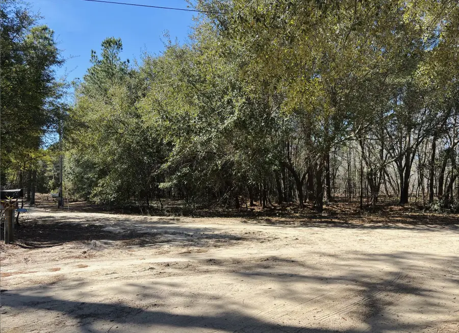 0 Ripley Court, Elloree, SC 29047 - #3