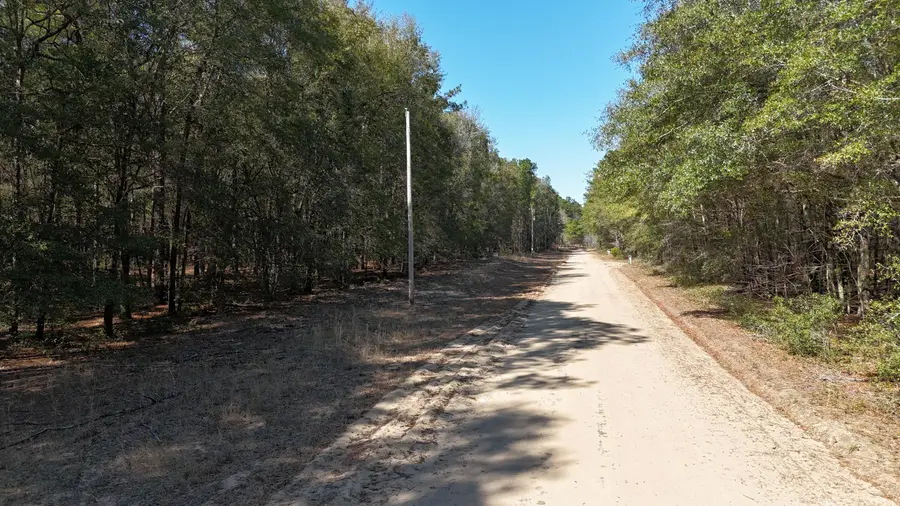 1163 Edisto Street, Summerton, SC 29148 - #3