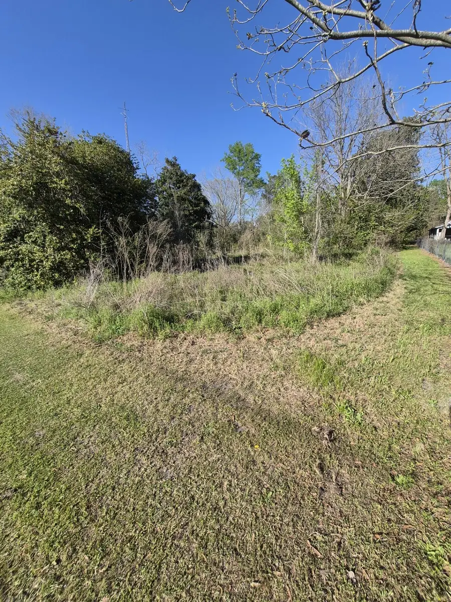 17 Liberty Street, Mayesville, SC 29104 - #2