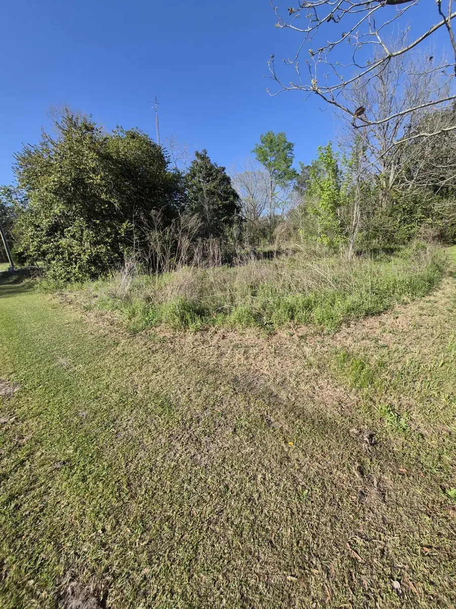 17 Liberty Street, Mayesville, SC 29104 - #3