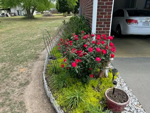 1777 Anburn Drive, Sumter, SC 29154 - #2