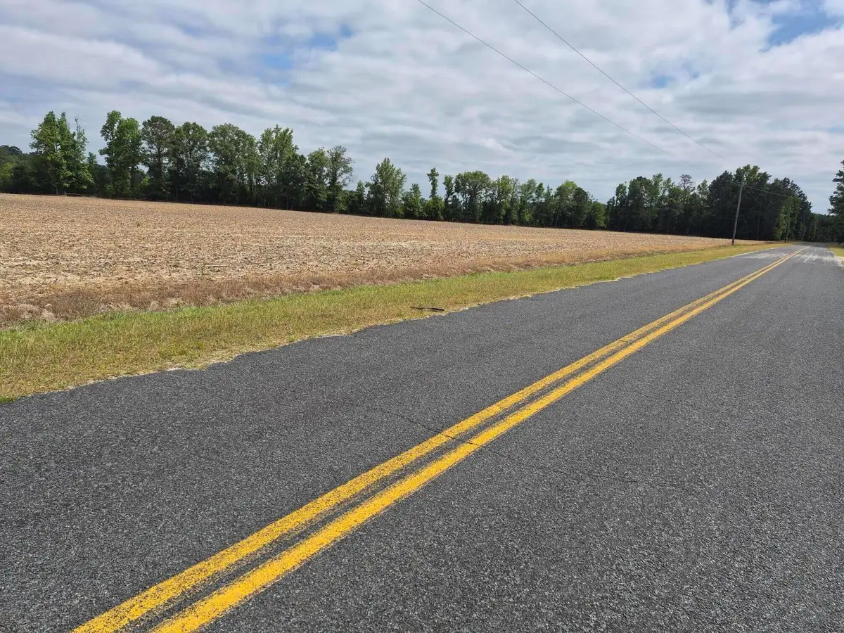 Ibis Point SE State Road S-38-754 Road Se #Tract 2, Santee, SC 29142 - #1