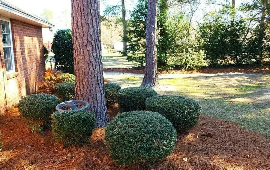 1450 Morris Way Drive, Sumter, SC 29154 - #2