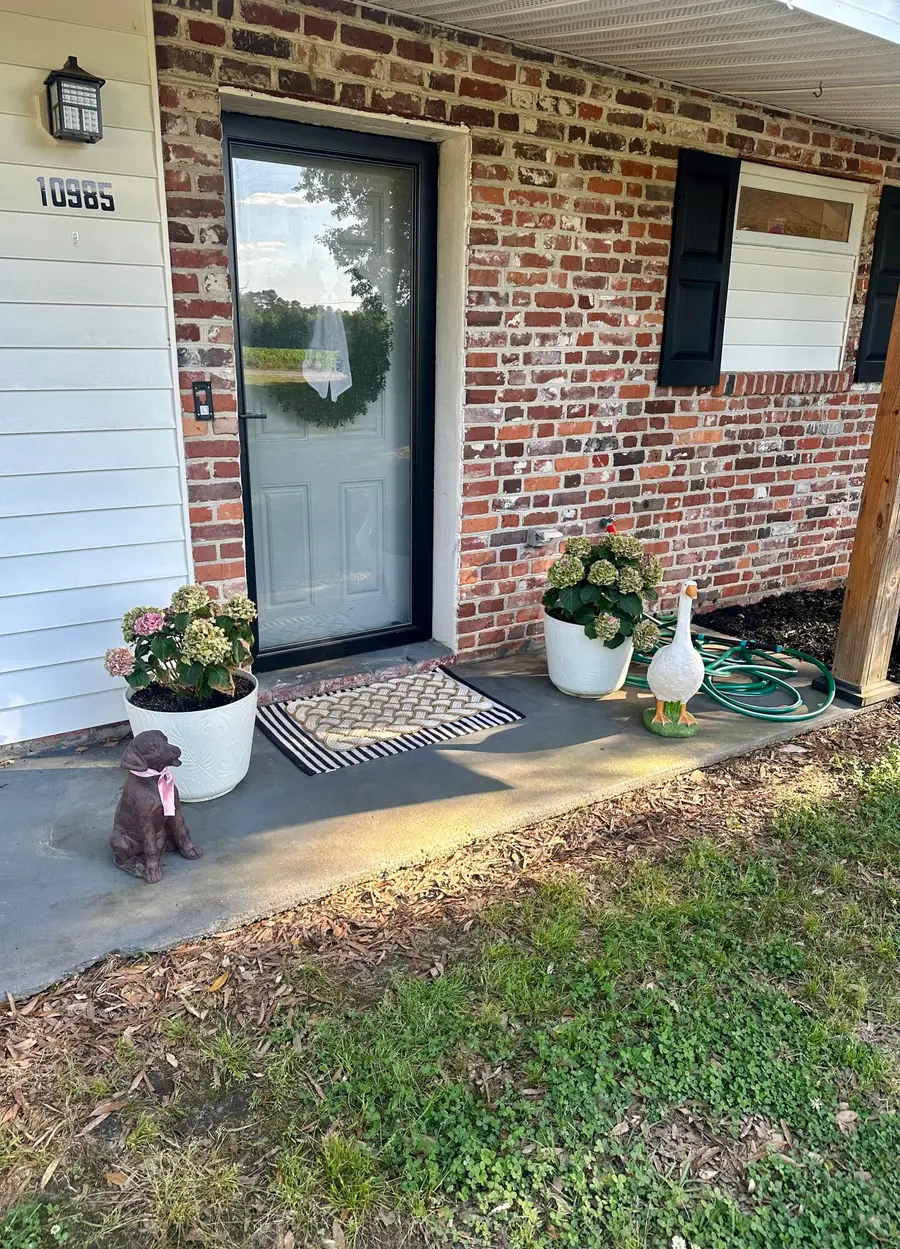 10985 Hemingway Highway, Kingstree, SC 29556 - #3