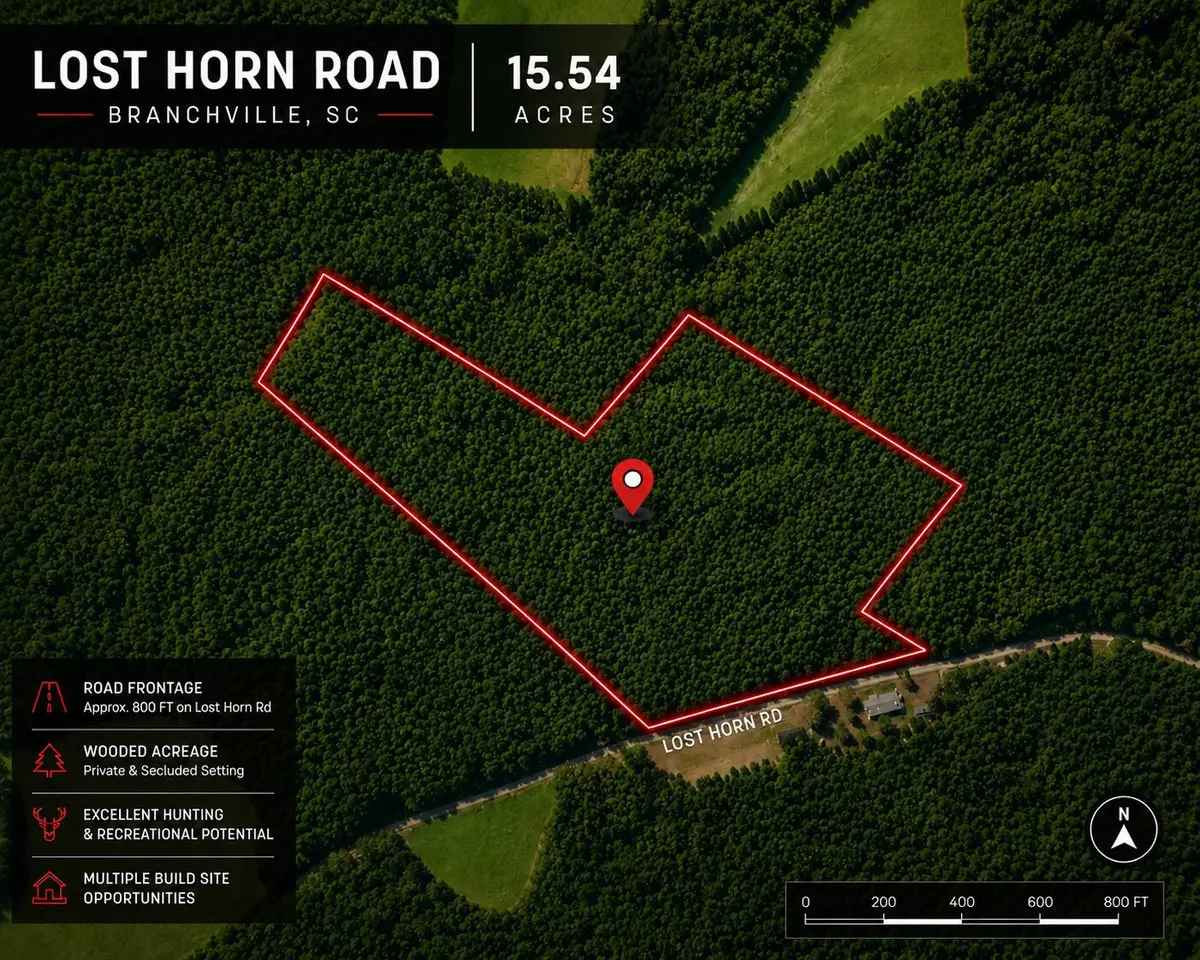 1 Lost Horn Road, Branchville, SC 29432 - #1