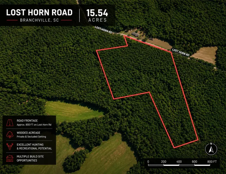 1 Lost Horn Road, Branchville, SC 29432 - #2