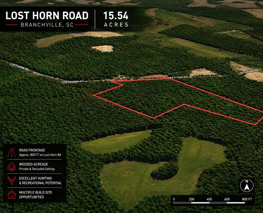 1 Lost Horn Road, Branchville, SC 29432 - #3
