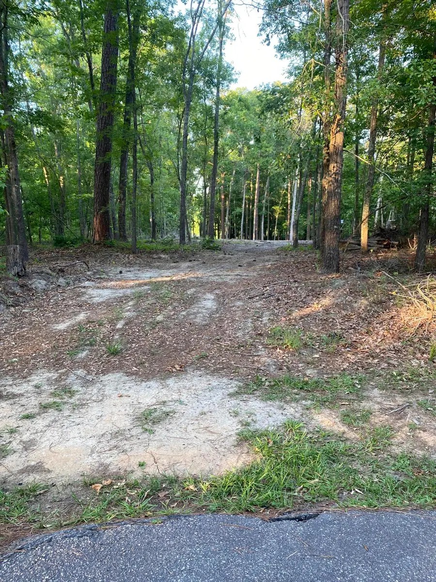 10 Hickory Landing Court #10, Elloree, SC 29047 - #3