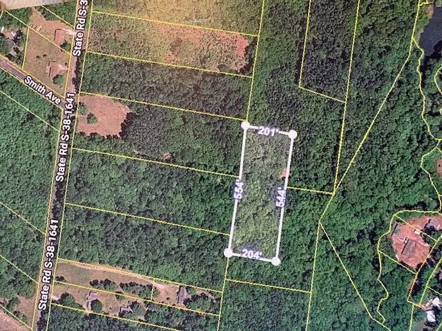 0 State S-38-1641 Road, Eutawville, SC 29048 - #1