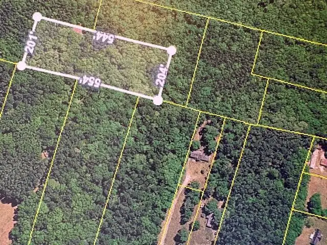 0 State S-38-1641 Road, Eutawville, SC 29048 - #3