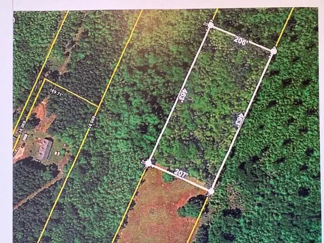 0 Youngs Road, Eutawville, SC 29048 - #1
