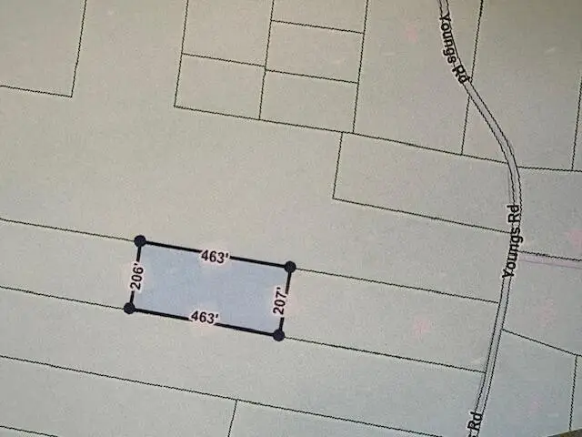 0 Youngs Road, Eutawville, SC 29048 - #2