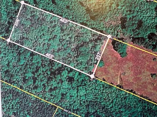 0 Youngs Road, Eutawville, SC 29048 - #3