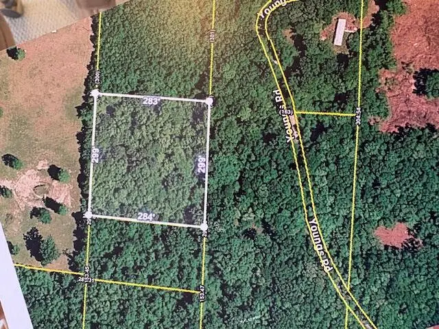 0 Riverside Drive, Eutawville, SC 29048 - #3