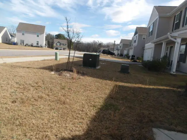 320 Sundew Road, Elgin, SC 29045 - #1