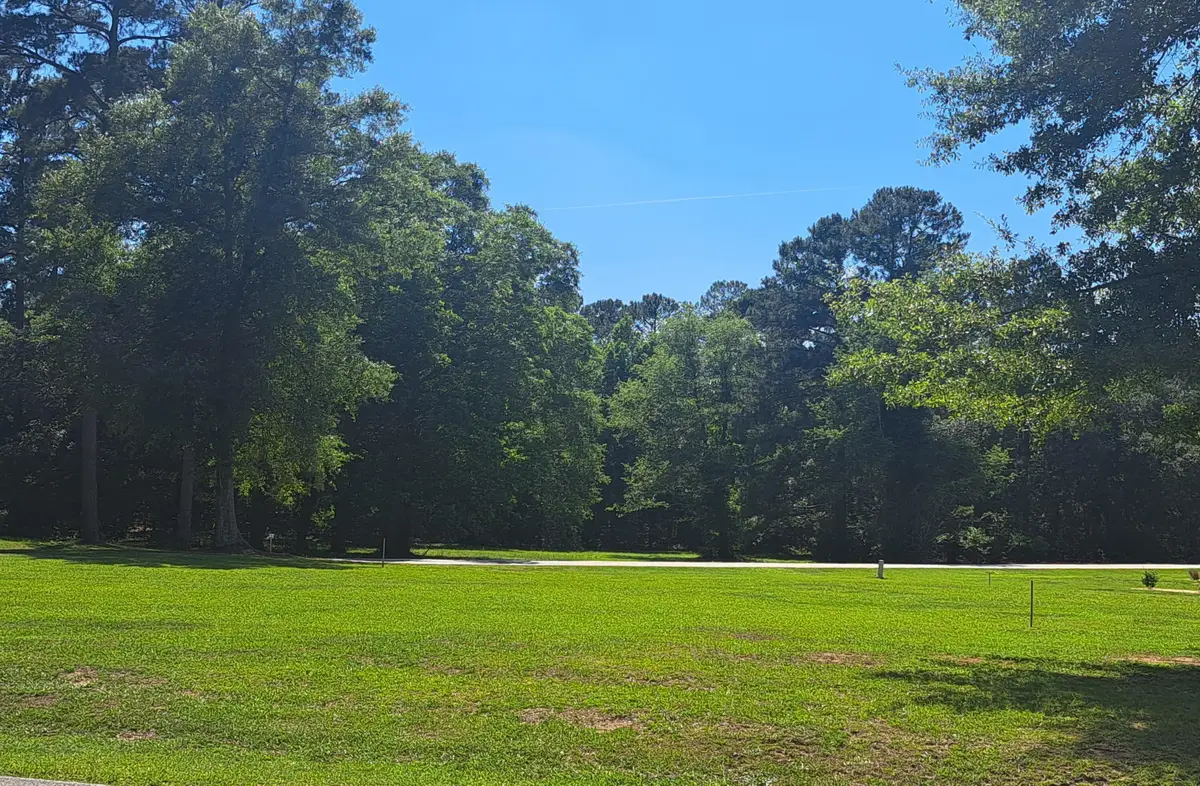 01 Santee Drive, Santee, SC 29142 - #1