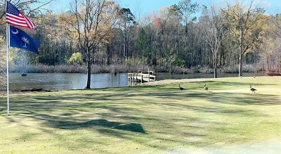 1221 Dove Lane, Summerton, SC 29148 - #1