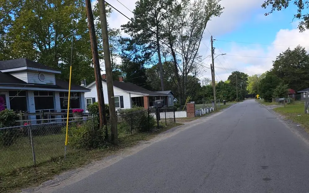 234 W Williams Street, Sumter, SC 29150 - #1