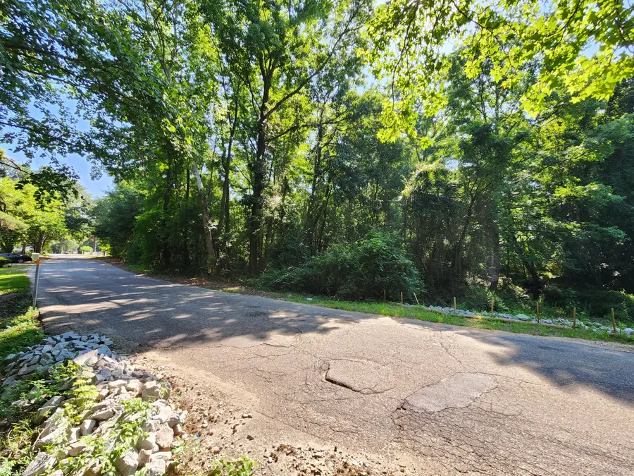 Tbd Community Street, Sumter, SC 29150 - #2