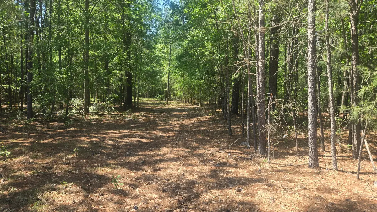 415 Pearson Road, Sumter, SC 29150 - #1