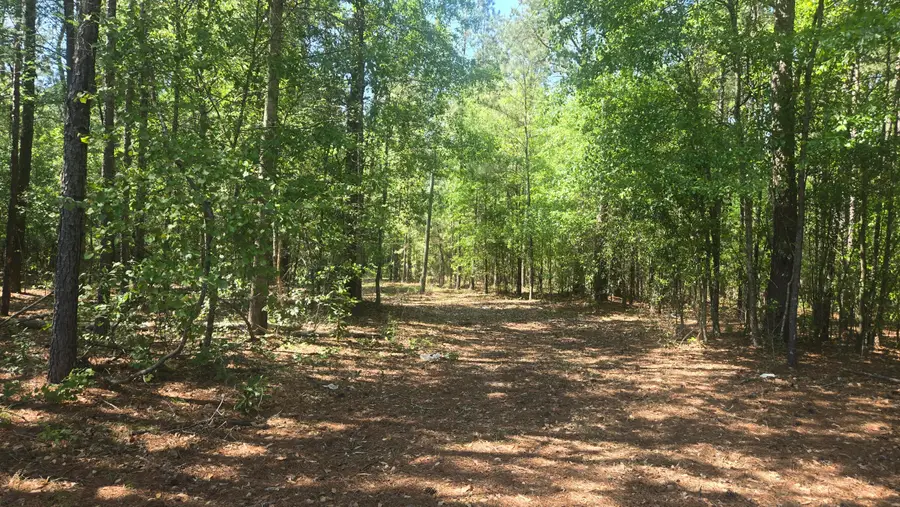 415 Pearson Road, Sumter, SC 29150 - #2