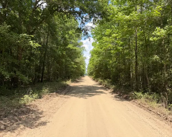 0 Toney Bay Road, Holly Hill, SC 29059